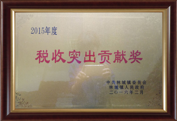 2015年度税收突出贡献奖