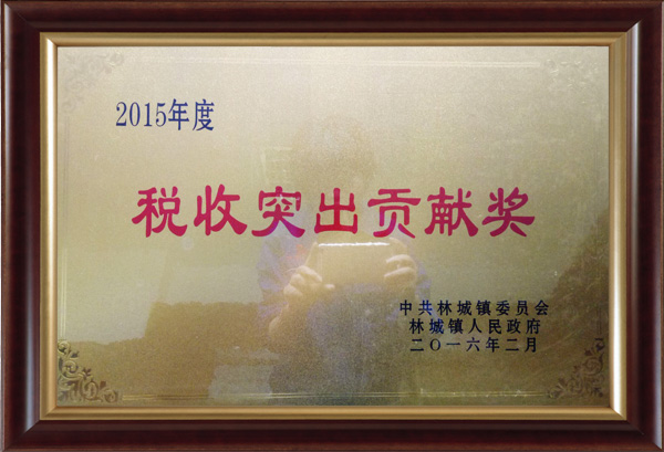 2015年度税收突出贡献奖